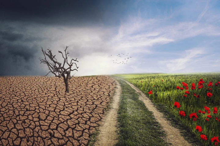 Environment-Friendly Habits That Can Lessen the Effects of Climate Change